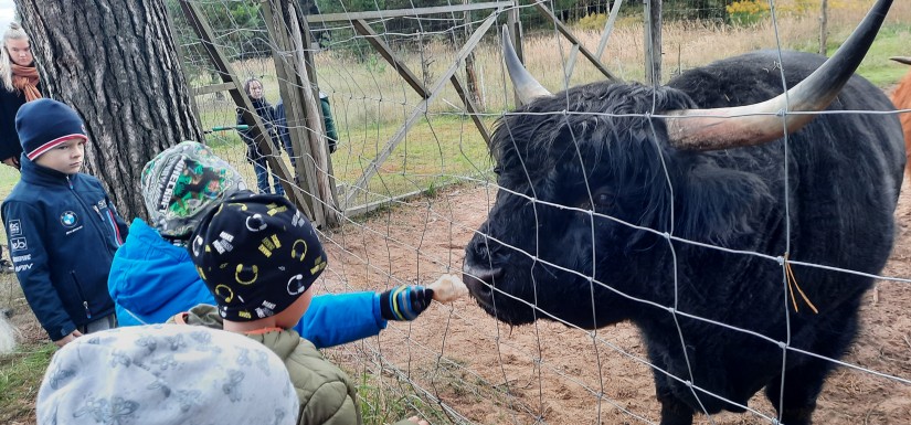 TURININGA IŠVYKA