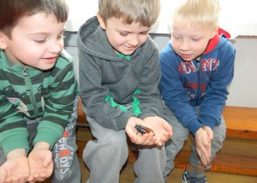 Edukacinė valandėlė Nariuotakojai mokykloje