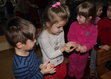 Edukacinis projektas Nariuotakojai mokykloje