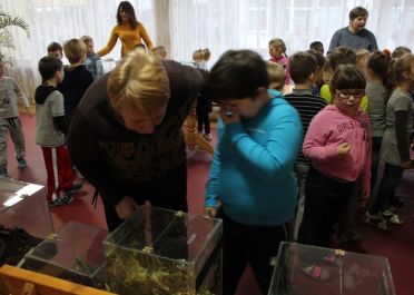 Edukacinis projektas Nariuotakojai mokykloje