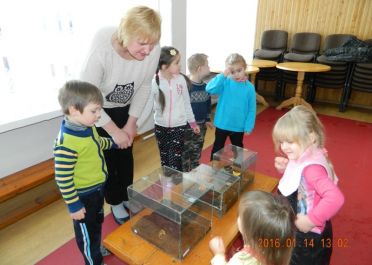 Edukacinė valandėlė Nariuotakojai mokykloje