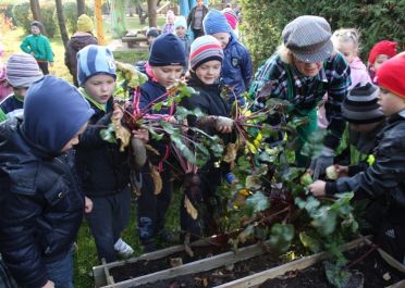 Teminė savaitė Rudens laiškai