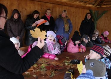 Ugdomoji veikla Spalvotų lapų šėlsmas (Saulyčių gr.)