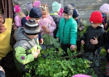 Teminė savaitė Rudens laiškai