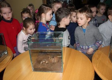 Edukacinis projektas Nariuotakojai mokykloje