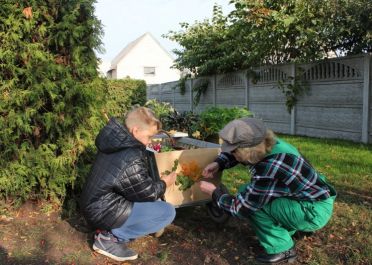 Teminė savaitė Rudens laiškai